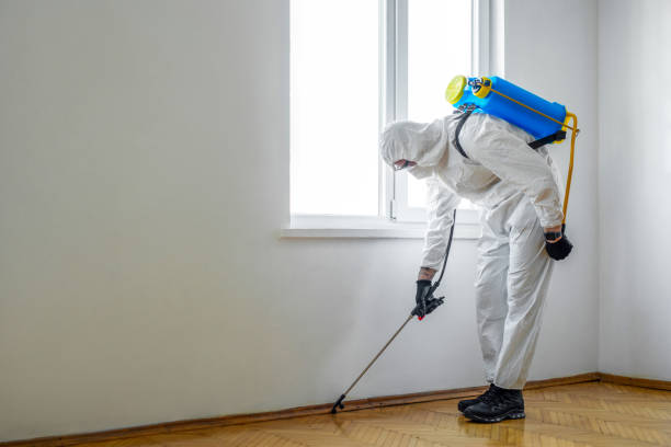 Best Best Pest Control Companies  in Cascades, VA