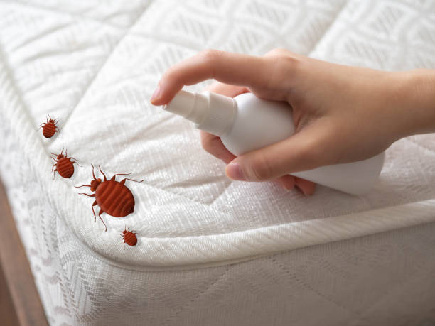 Best Mosquito Control Services  in Cascades, VA