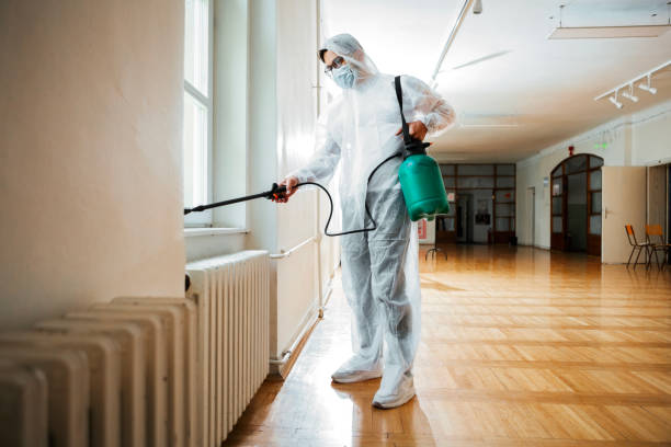 Best Wasp Removal Services  in Cascades, VA