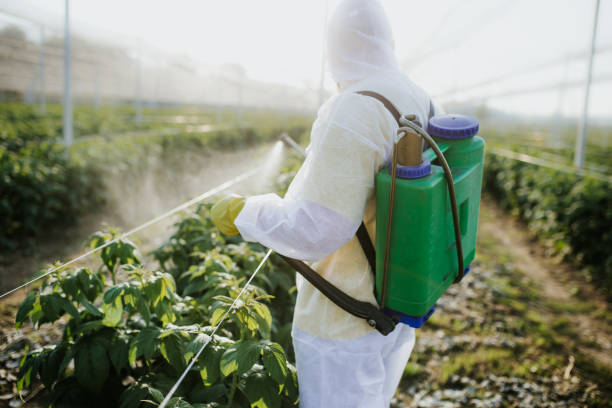 Best Affordable Pest Control Services  in Cascades, VA